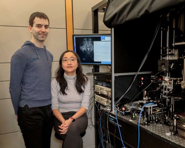 高薪挖“神经科学家”，苹果、谷歌想从动物身上汲取AI灵感