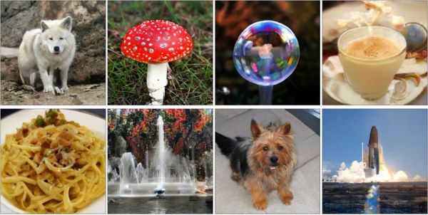 DeepMind爆出无监督表示学习模型BigBiGAN,GAN之父点赞