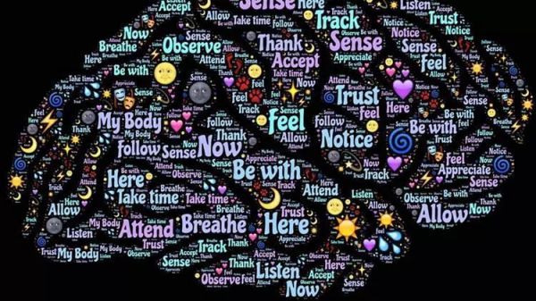 为了搞懂什么是记忆，这位科学家四年来每天坚持训练虫子