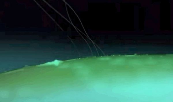 马斯克发布脑机接口系统,可用iPhone操控,网友:这就是黑客帝国