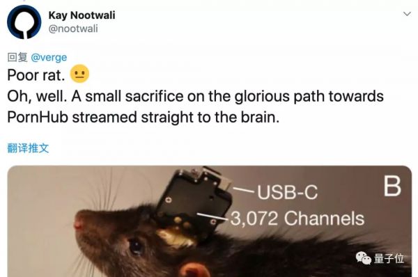 马斯克发布脑机接口系统,可用iPhone操控,网友:这就是黑客帝国