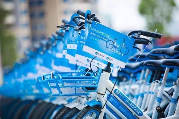 共享充电宝为什么没有死?