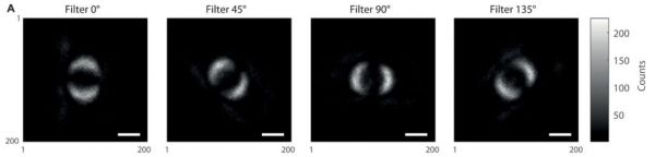 比黑洞照片更震撼,人类拍到第一张量子纠缠照片