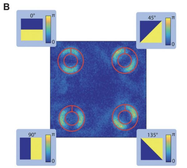 比黑洞照片更震撼,人类拍到第一张量子纠缠照片
