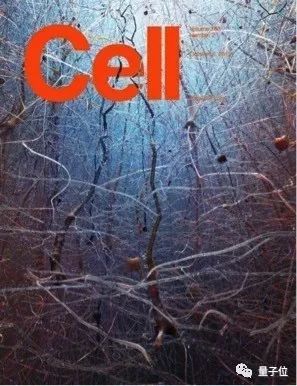 模拟人脑项目彻底宣告失败：耗资10亿欧，10年前轰动全球，如今死得悄无声息