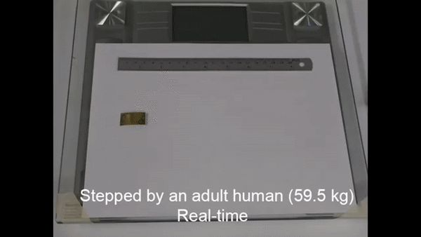 清华伯克利造出机械小强:承重200万倍踩不死,跑得和真蟑螂一样快