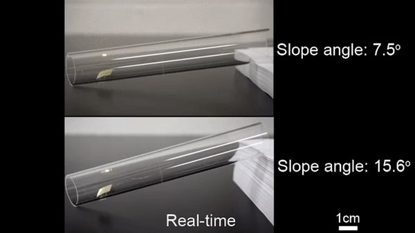清华伯克利造出机械小强:承重200万倍踩不死,跑得和真蟑螂一样快