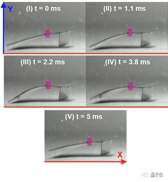 清华伯克利造出机械小强:承重200万倍踩不死,跑得和真蟑螂一样快