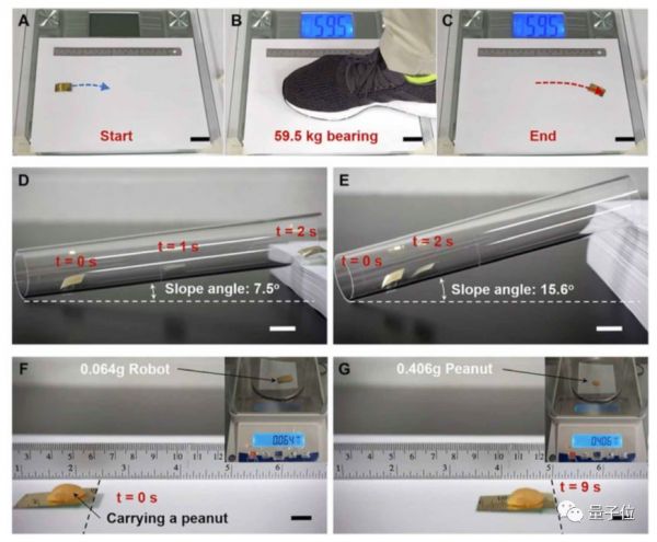 清华伯克利造出机械小强:承重200万倍踩不死,跑得和真蟑螂一样快