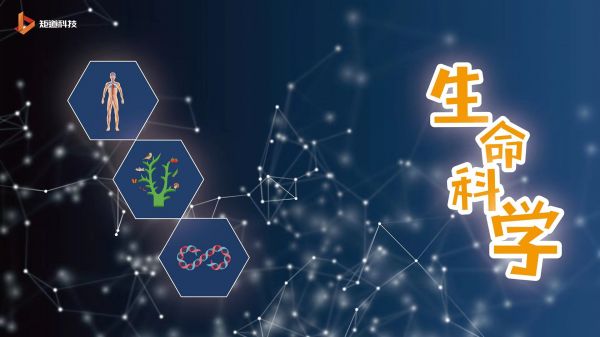 XR有哪些新应用？这里有来自Qualcomm & Pico XR创新应用大赛推荐的18个新项目