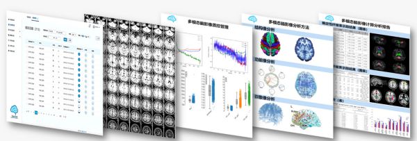 将AI用于脑科学研究和脑疾病诊疗,「慧脑云」获5000万元A轮融资