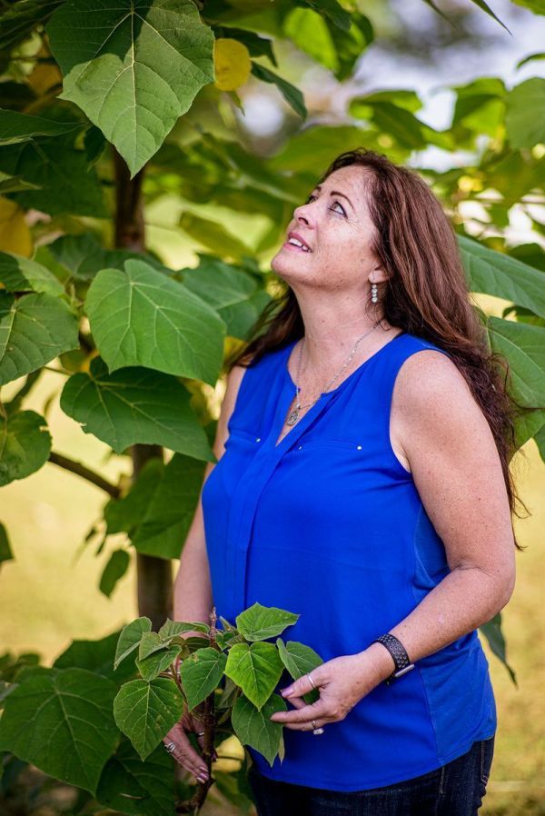 应对全球变暖问题,天然的“皇后树”比所有吸碳技术都强