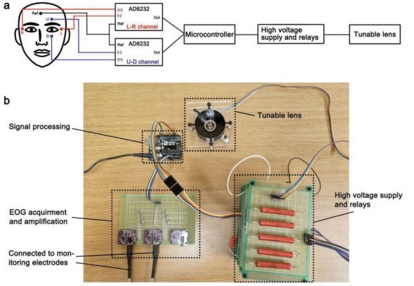 技术前沿洞察：3D打印出活体心脏，AI让你体验登月