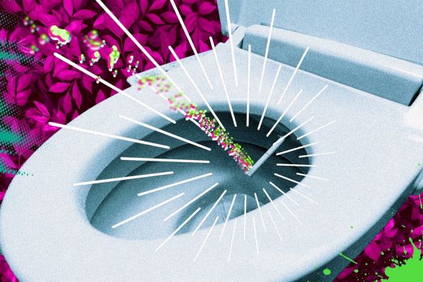 厕所文化:日本智能马桶的怪奇崛起