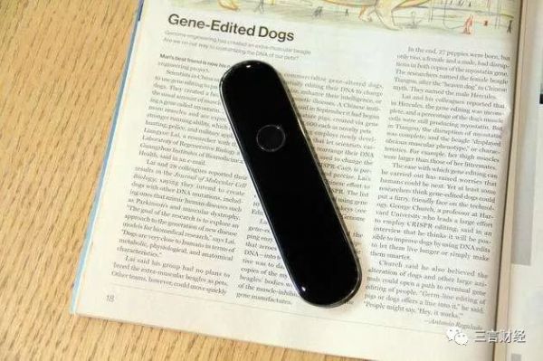 猎豹进军AI的第三年：遭遇阵痛，未来可期