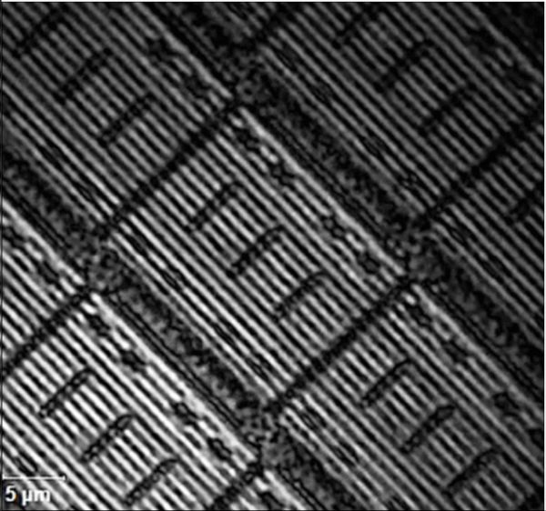 潮科技 | 美国加州大学伯克利分校首次实现高速可编程、大阵列二维光学相控阵芯片