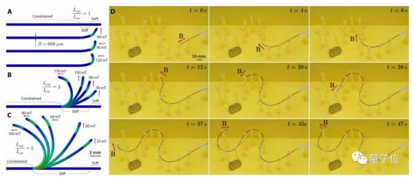MIT华人科学家打造线形机器人:灵活穿行脑血管,还能轻松急转弯