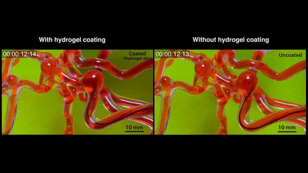 MIT华人科学家打造线形机器人:灵活穿行脑血管,还能轻松急转弯