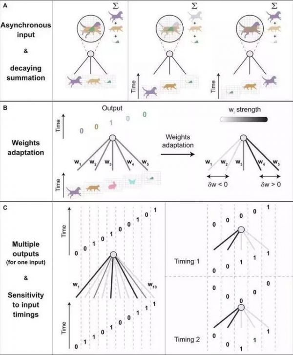 通往强人工智能,少不了的模拟大脑