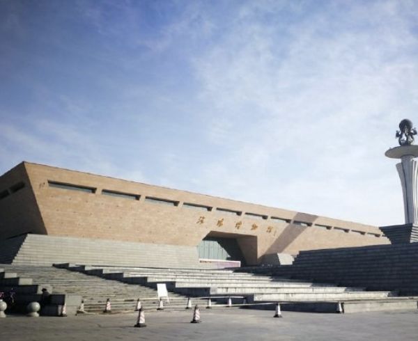 夏令营,和四个不同的夏天 | 深氪lite