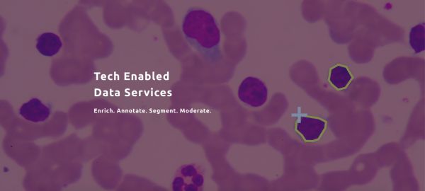 有一种新兴职业，叫做人工智能的老师（中篇）