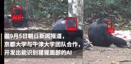 科技神回复 | 诺基亚做了款新的翻盖手机,买一个和现代人拉开差距