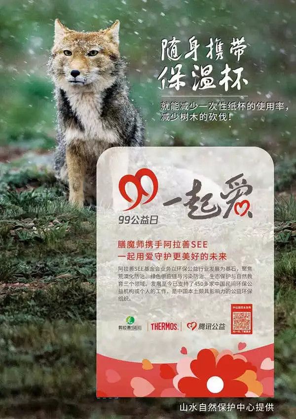 上半年中国网友捐了 18 亿,除了花钱,他们还走路、养鸡、养熊猫来做公益