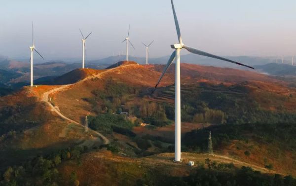 捐款保护亚马孙雨林，苹果为大自然做的还挺多的