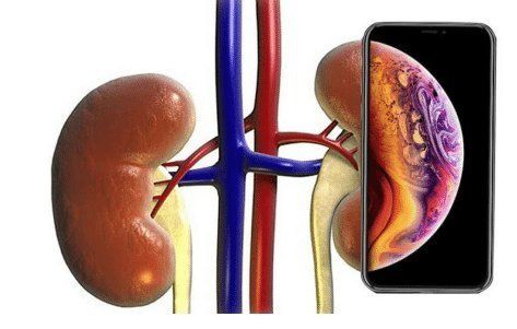 苹果发布 iPhone 11 等新品,我们整理了外国人的各种评论与吐槽