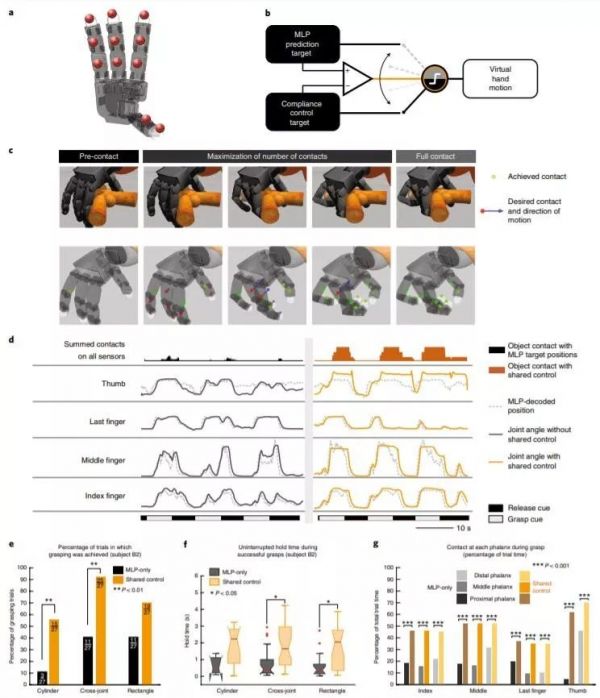 意念加AI算法「复原」每个手指,智能义肢登上Nature子刊封面