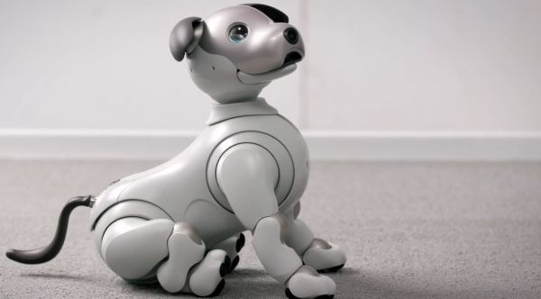 对话索尼机器狗之父:AIBO 为什么是机器狗而不是机器猫?