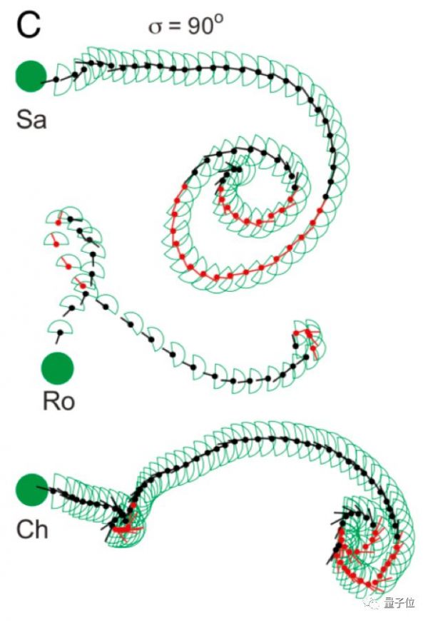 脑机接口创造“第六感”：激活特定神经元，大鼠训练出新感官，逃出水迷宫，像用视觉一样轻松