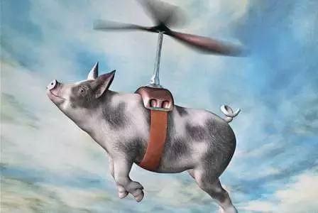 AI为什么救不了“想上天”的猪？