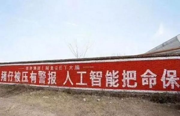 AI为什么救不了“想上天”的猪？