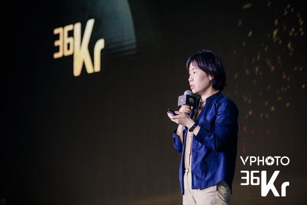 华创资本吴海燕:“中国企业软件的机遇、挑战和预言”|2019中国投资人未来峰会