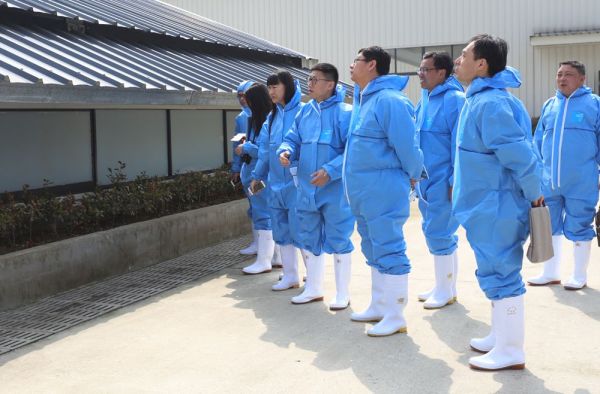 大佬们的掌上明“猪”