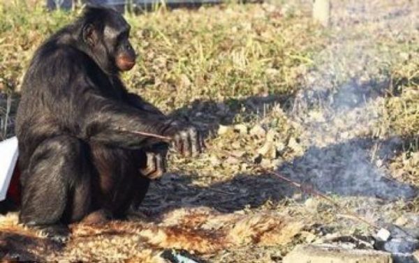 如果科技能够让你变“超脑”，你愿意尝试吗？