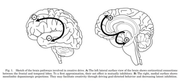 如果科技能够让你变“超脑”，你愿意尝试吗？