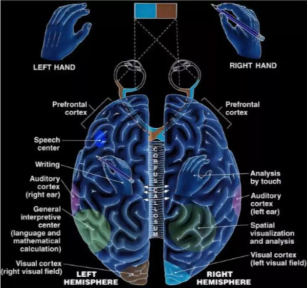 如果科技能够让你变“超脑”，你愿意尝试吗？