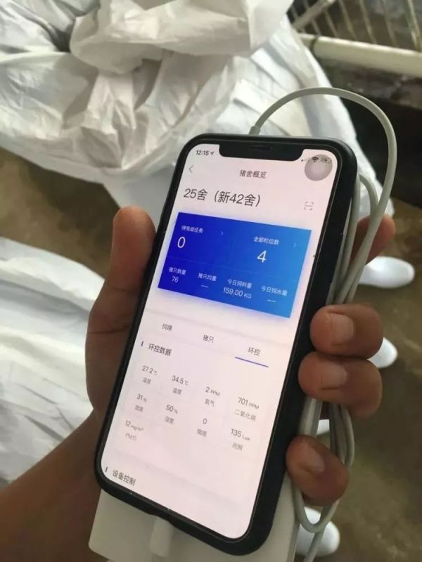 当 AI 开始进村养猪