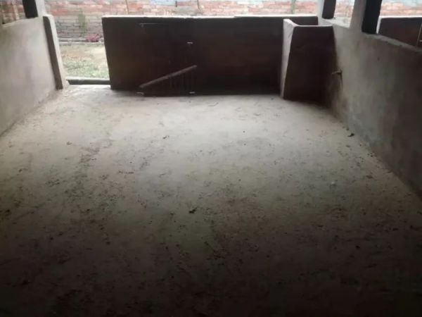 当 AI 开始进村养猪