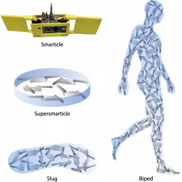 利用随机性,一群智商几乎为0的小机器人也可完成复杂任务?