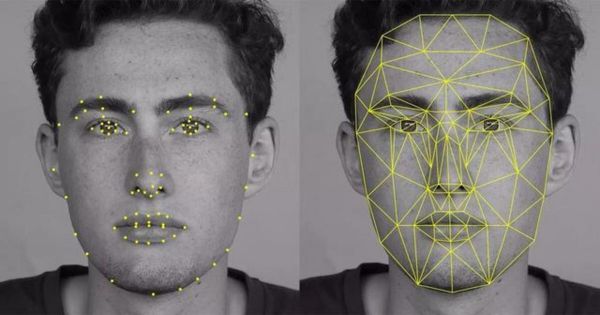 AI算命背后:谁的智商税又在被收割