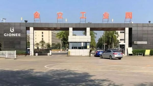 失语者金立:“亡”者难归来