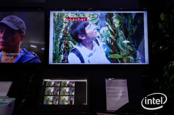 少数派的未来猜想 | “上云”不是终点，释放数据价值才是数字经济时代的“加油站”