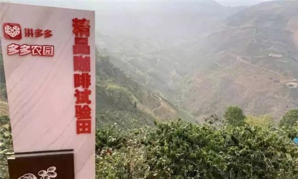 拼多多发可转债的大环境和小气候