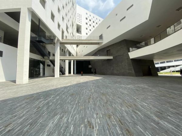 用了一周 iPhone 11,我觉得它是一台适合大多数人的标准款 iPhone