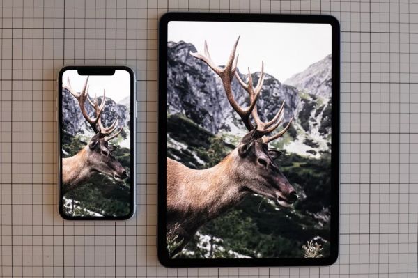 用了一周 iPhone 11,我觉得它是一台适合大多数人的标准款 iPhone