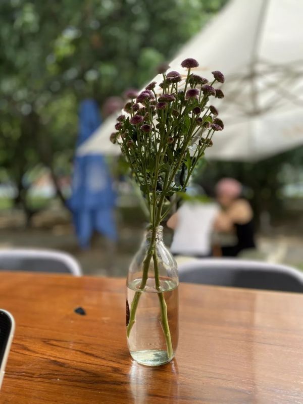 用了一周 iPhone 11,我觉得它是一台适合大多数人的标准款 iPhone