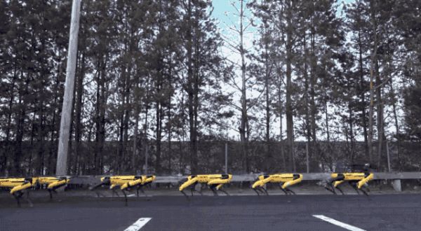 波士顿动力机器狗签约世界第一马戏团，太阳马戏团确认Spot将出演